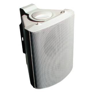 Visaton WB 13 White 5 inch fullrange speaker 100V/8 Ohm 80W
