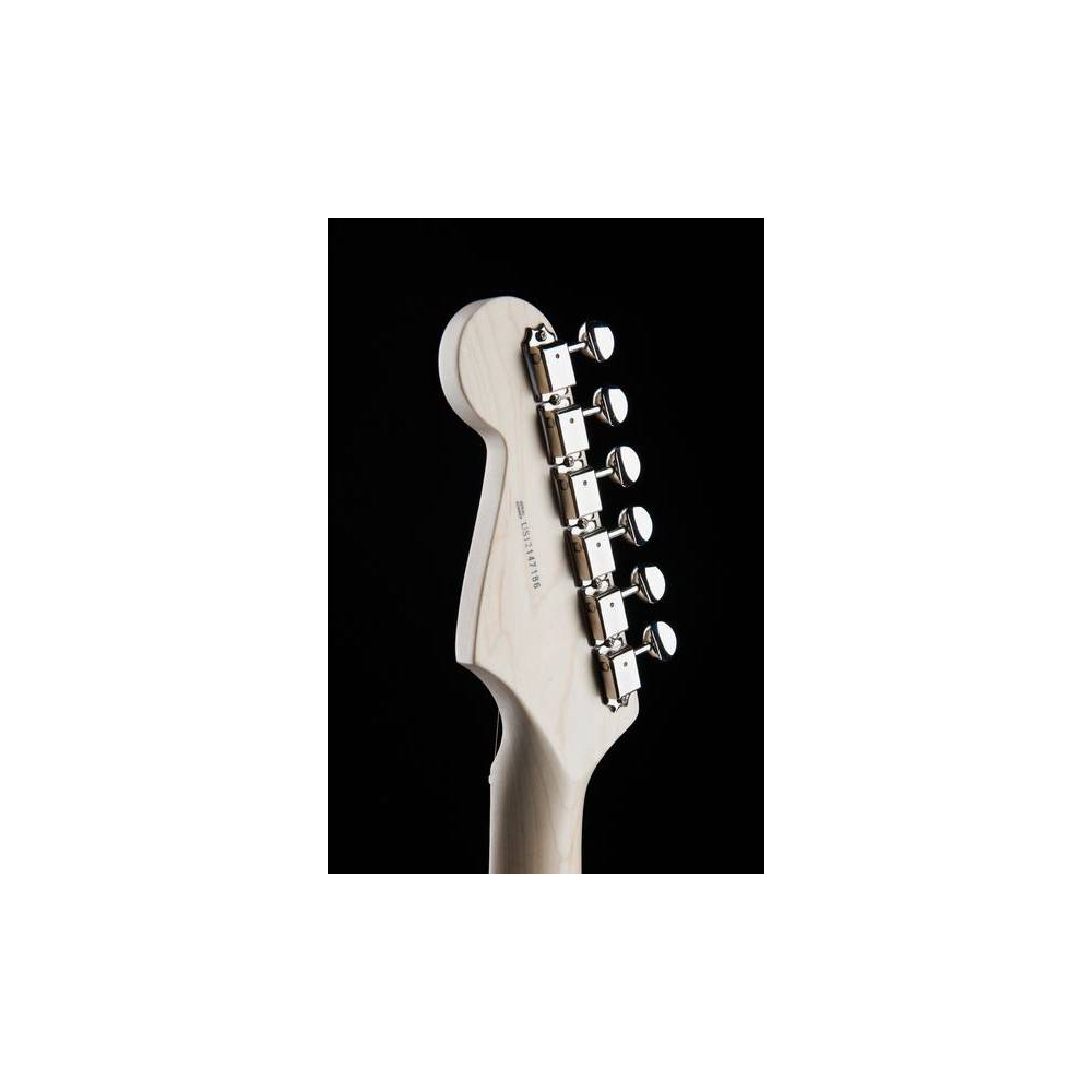 Fender Eric Clapton Stratocaster Pewter