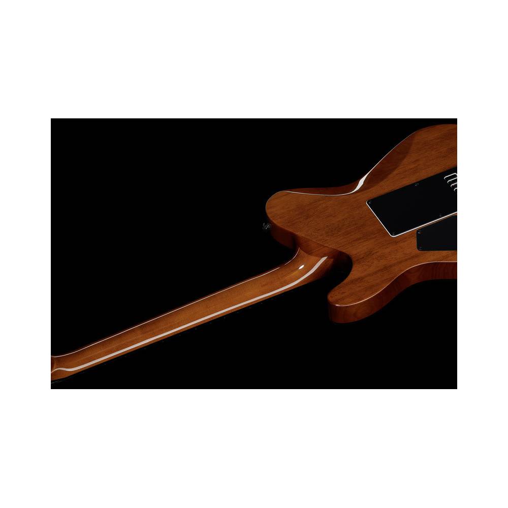 ESP LTD Deluxe TE-1000 EverTune Koa elektrische gitaar