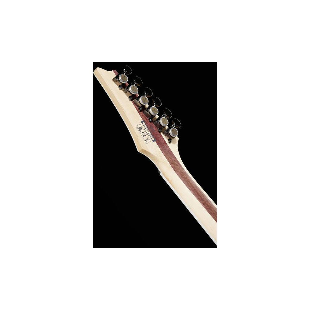 Ibanez Iron Label RGIB21-BK Black elektrische gitaar