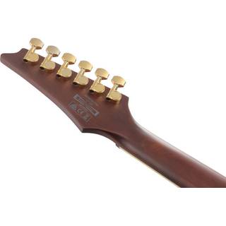 Ibanez SEW761FM Natural Flat elektrische gitaar
