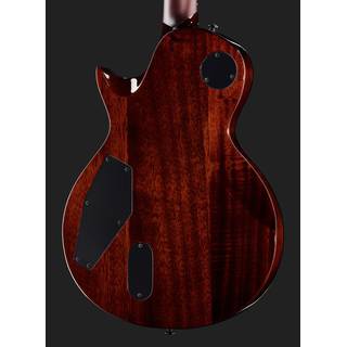 ESP LTD Deluxe EC-1001 Tiger Eye elektrische gitaar