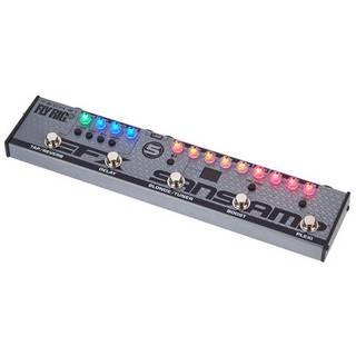 Tech 21 Fly Rig 5 multi effect