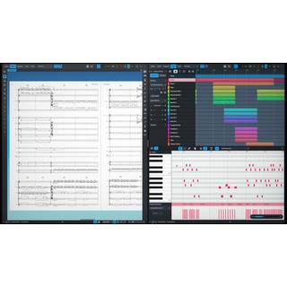 Steinberg Dorico Pro 4 EE Crossgrade van Sibelius en Finale