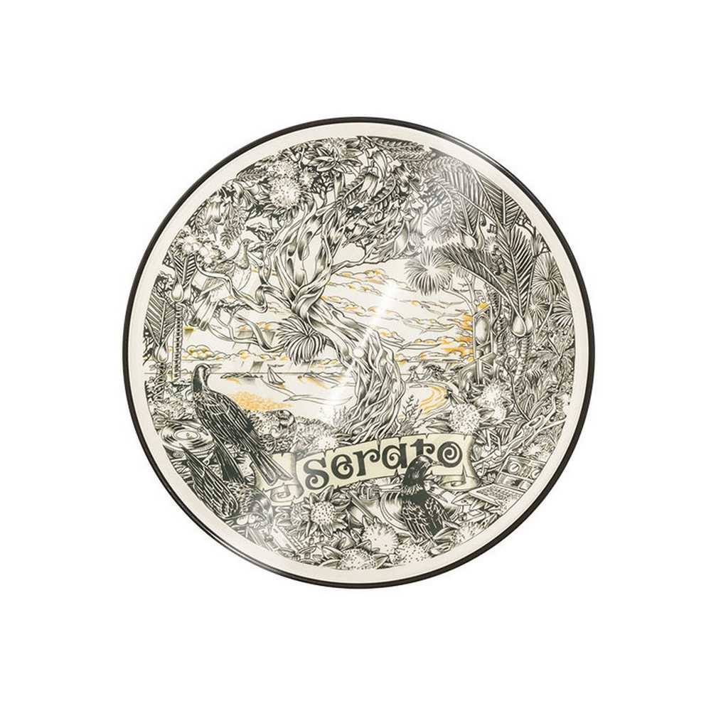 Artist Series Dan Tippett