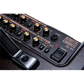 Roland AC-60 Rosewood