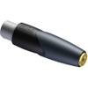 Procab CLP110 Classic XLR female-6.3mm jack female gebalanceerd
