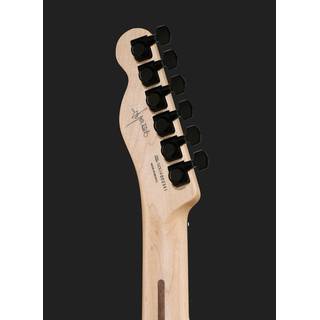 Fender Jim Root Telecaster Flat White EB