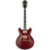 Ibanez EKM100 Prestige Eric Krasno Signature Wine Red