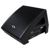 Dynacord AXM 12A actieve vloermonitor 12 inch