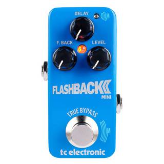 TC Electronic Flashback 2 Mini Delay effectpedaal