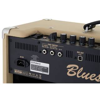 Roland Blues Cube Artist