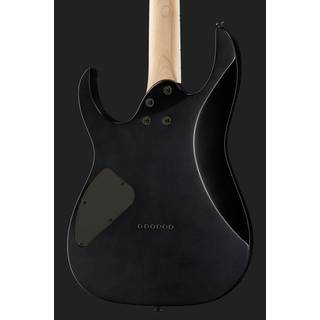 Ibanez RG421EX Hardtail RG elektrische gitaar Black Flat