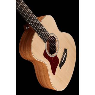 Taylor GS Mini LH