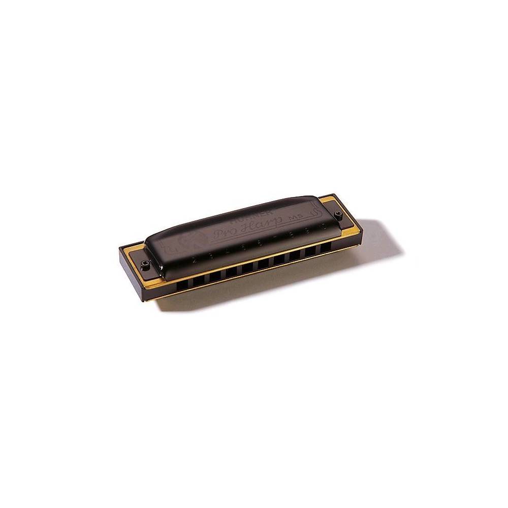 Hohner Pro Harp MS Bb - Nederland