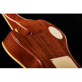 Epiphone Alex Lifeson Les Paul Standard Axcess Viceroy Brown elektrische gitaar met EpiLite Case