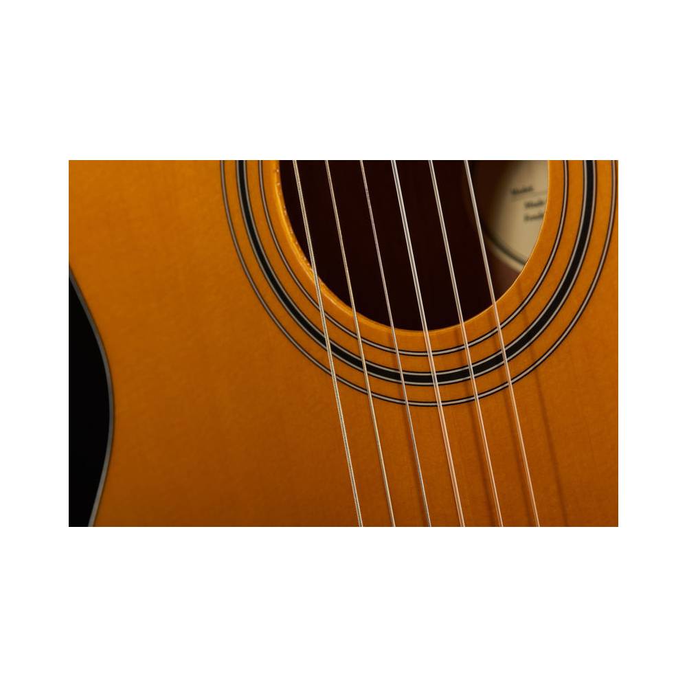logboek Burger partij Fender ESC-110 Educational Series Vintage Tint 4/4 klassieke gitaar met tas  kopen? - InsideAudio
