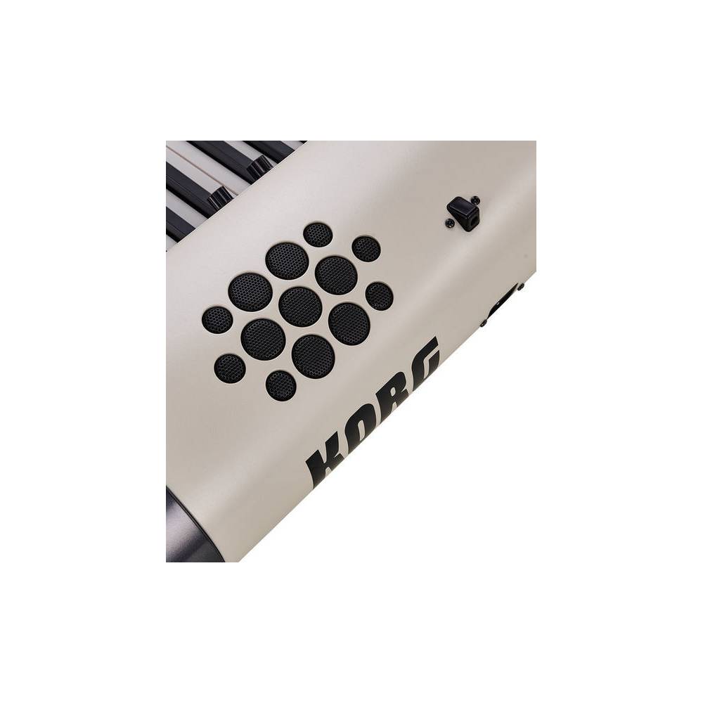 Korg SV2 73S stage piano