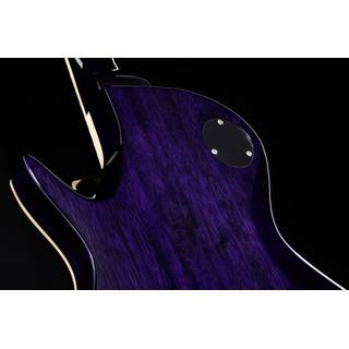ESP LTD EC-256 See Thru Purple Sunburst