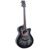 Fazley W55-COL-BK ColourTune western gitaar zwart