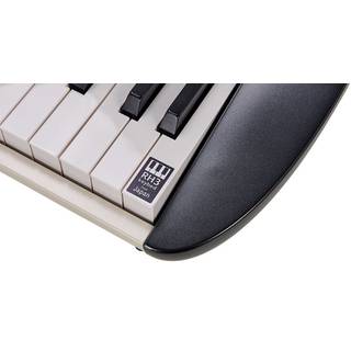 Korg SV2 73S stage piano