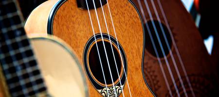 Interested in purchasing a ukulele? Here is where you should pay attention to