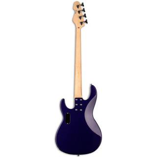 ESP LTD AP-204 Dark Metallic Purple elektrische basgitaar