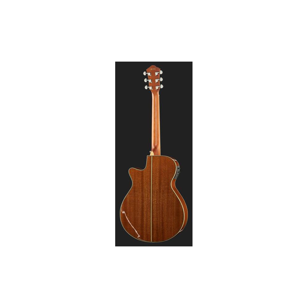 Ibanez AEG10II Natural Browned Burst elektrisch-akoestisch