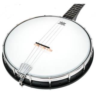 Gold Tone AC-4 4 String Open Back Banjo inclusief gigbag
