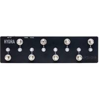 Fortin Amplification Hydra 8-knops MIDI controller