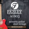 Fazley AGS03 snaren akoestische western gitaar (medium light)