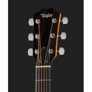 Taylor Academy 12e-N