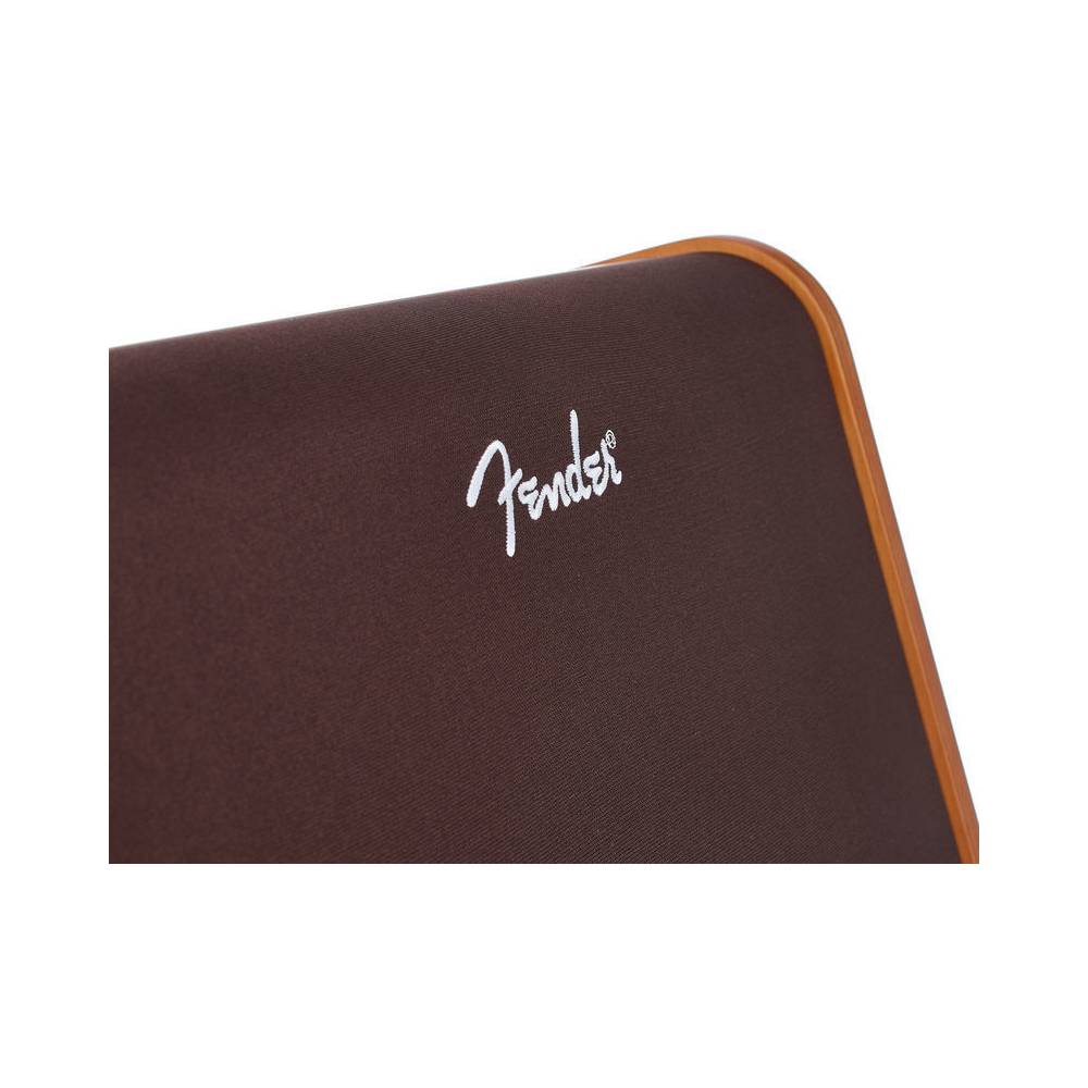 Fender Acoustic 100 akoestische-gitaarversterkercombo