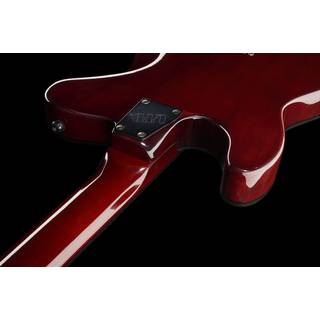 ESP LTD TE-200 Rosewood Tobacco Sunburst