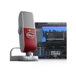 Blue Raspberry Studio