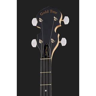 Gold Tone AC-5 5-String Closed Back Banjo met draagtas