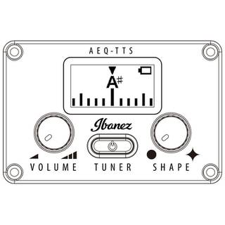 Ibanez AEG5012 Black High Gloss 12-snarige elektrisch-akoestische westerngitaar