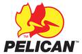 Pelican Case