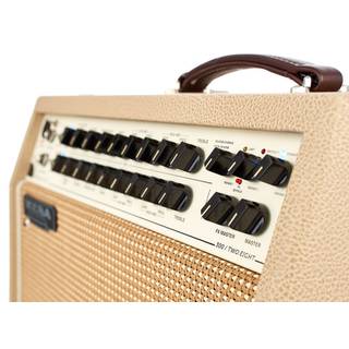 Mesa Boogie Rosette 300 / Two:Eight akoestisch gitaarcombo