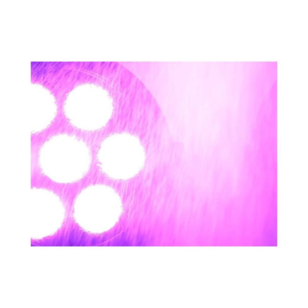 Eurolite LED IP PAR 7x8W QCL spot