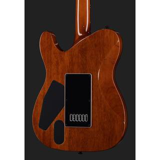 ESP LTD Deluxe TE-1000 EverTune Koa elektrische gitaar