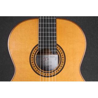 ALHAMBRA Luthier Ziricote   case - 826