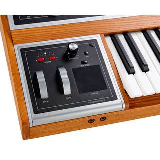 Moog ONE Polyphonic 8 Voice