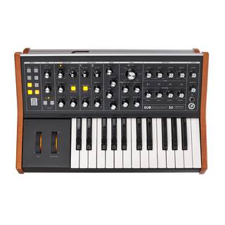 Moog Subsequent 25