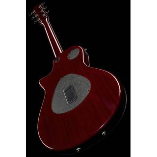Taylor Tz5 Pro Borrego Red