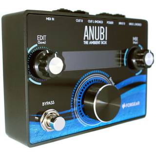 Foxgear ANUBI - The Ambient Box multi reverb / delay