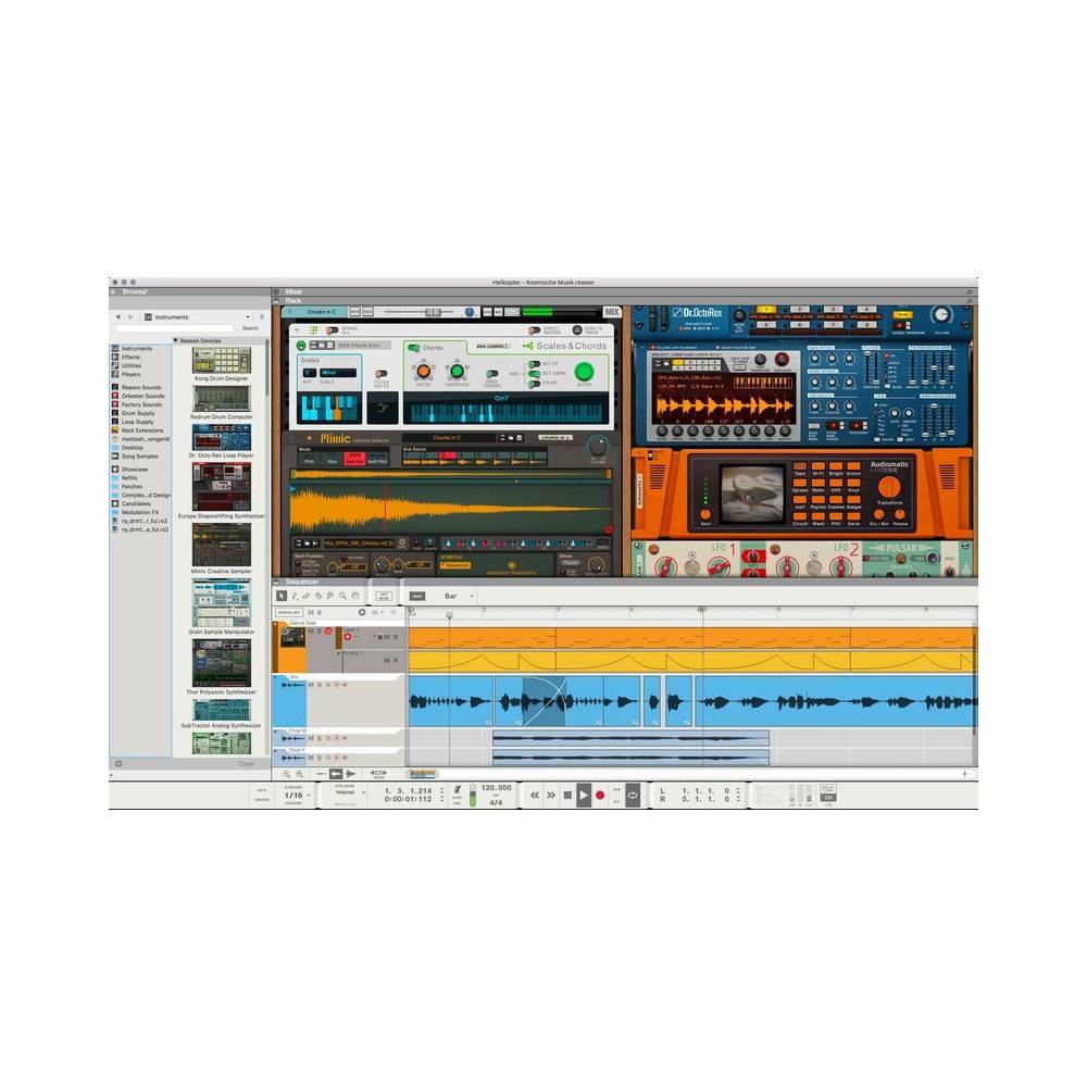 Reason 12 (download)