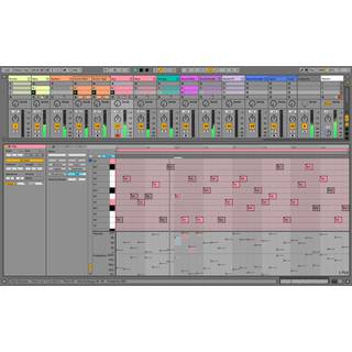 Ableton Live 11 Standard EDU (download)