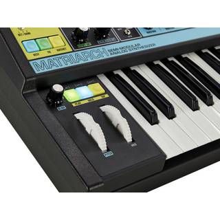 Moog Matriarch analoge synthesizer