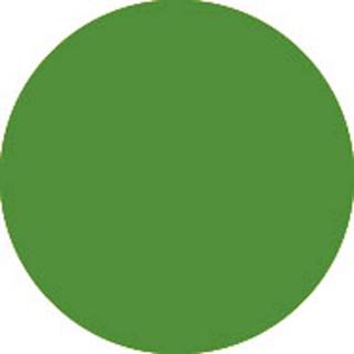 Showtec HT Filter vel nr. 139 primary green